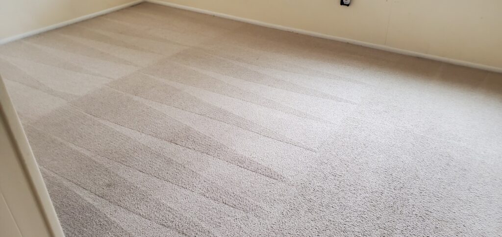 Residential Carpet Cleaning