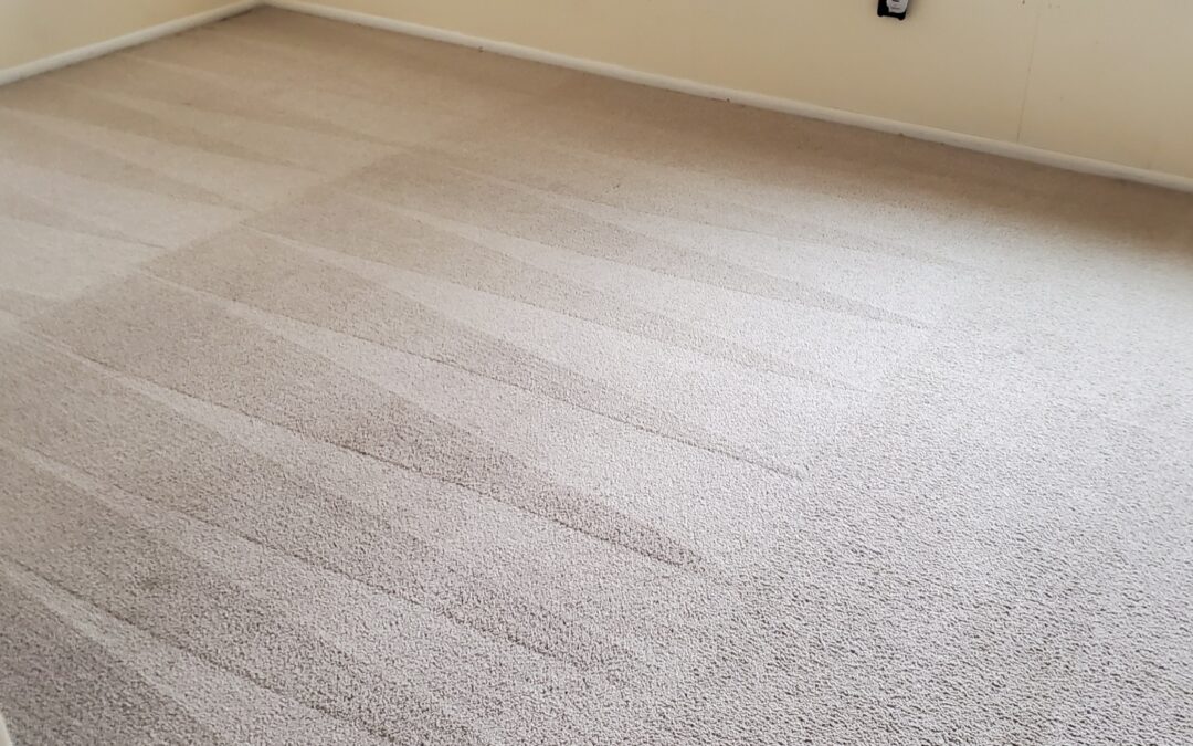 Removing Coffee Stains from Carpet