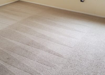 Residential Carpet Cleaning