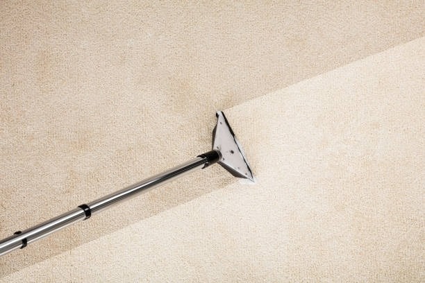 Why You Need to Hire a Carpet Cleaning Company