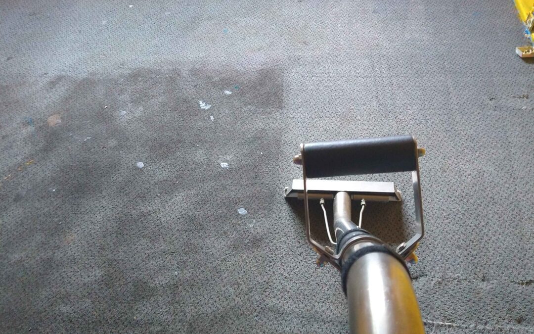Carpet Cleaning Companies In My Area