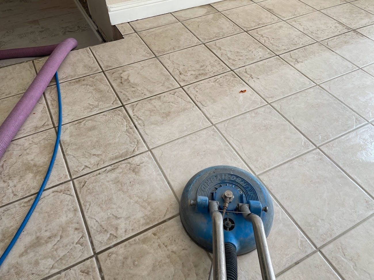 Professional Cleaning Near Me
