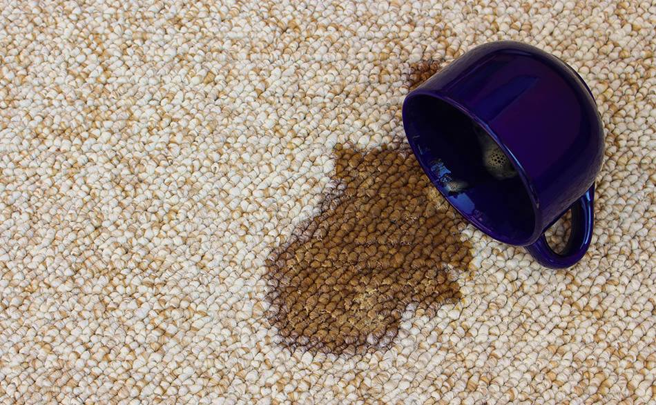 How to Get New Coffee Stains Out of Carpet
