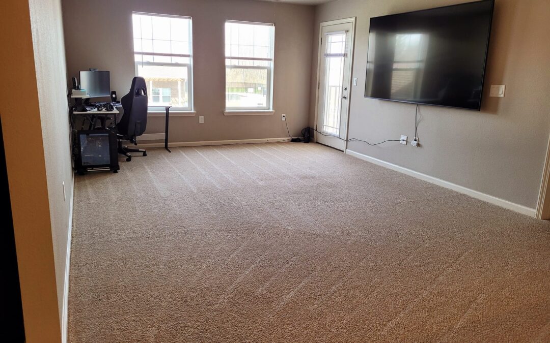 Local Carpet Cleaning Companies
