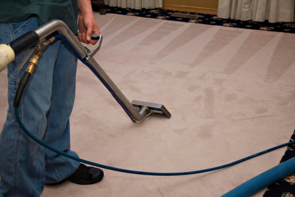 Area Rug Cleaning Service