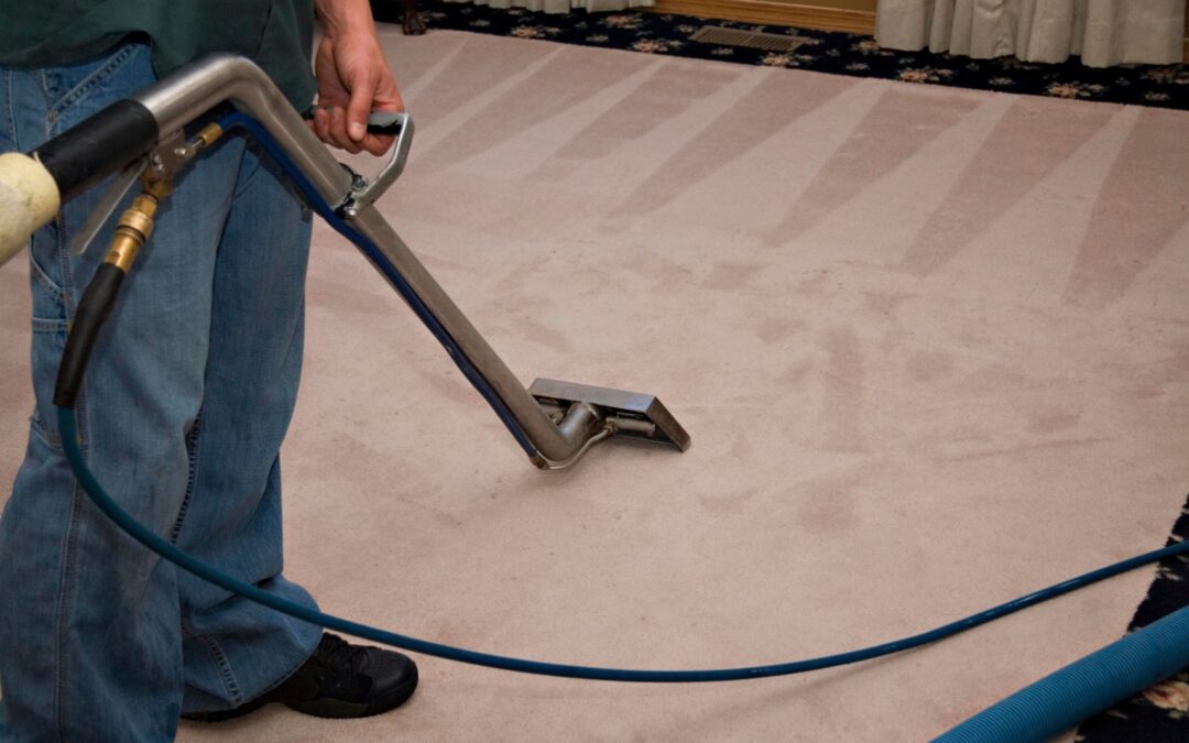 Best Carpet Steam Cleaning Near Me