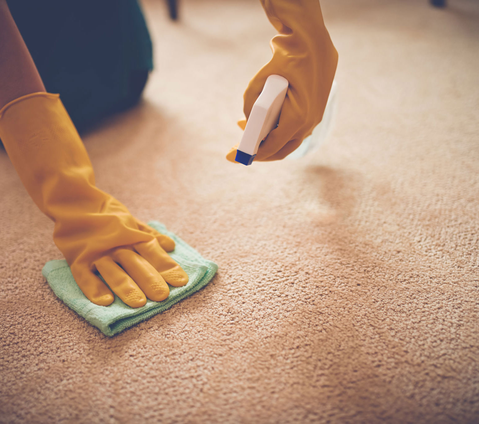 How to Remove Cat Urine from Carpet