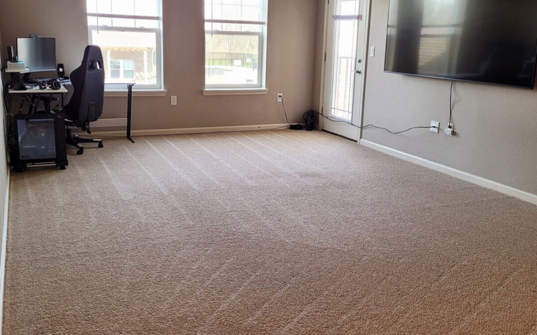 Apartment Carpet Cleaning